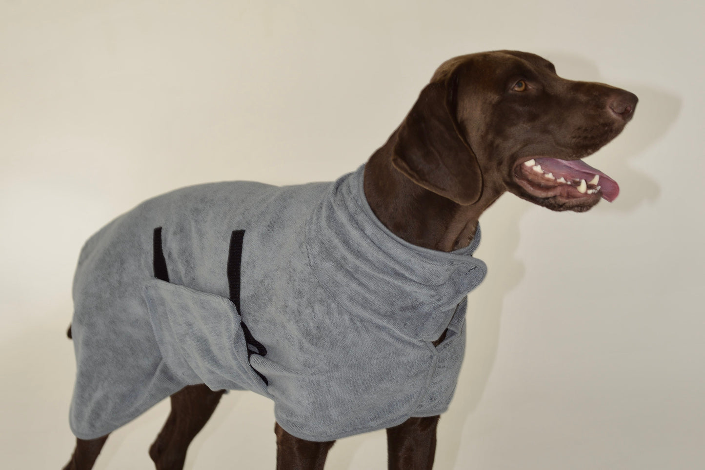 NOOA Start - rinkinys