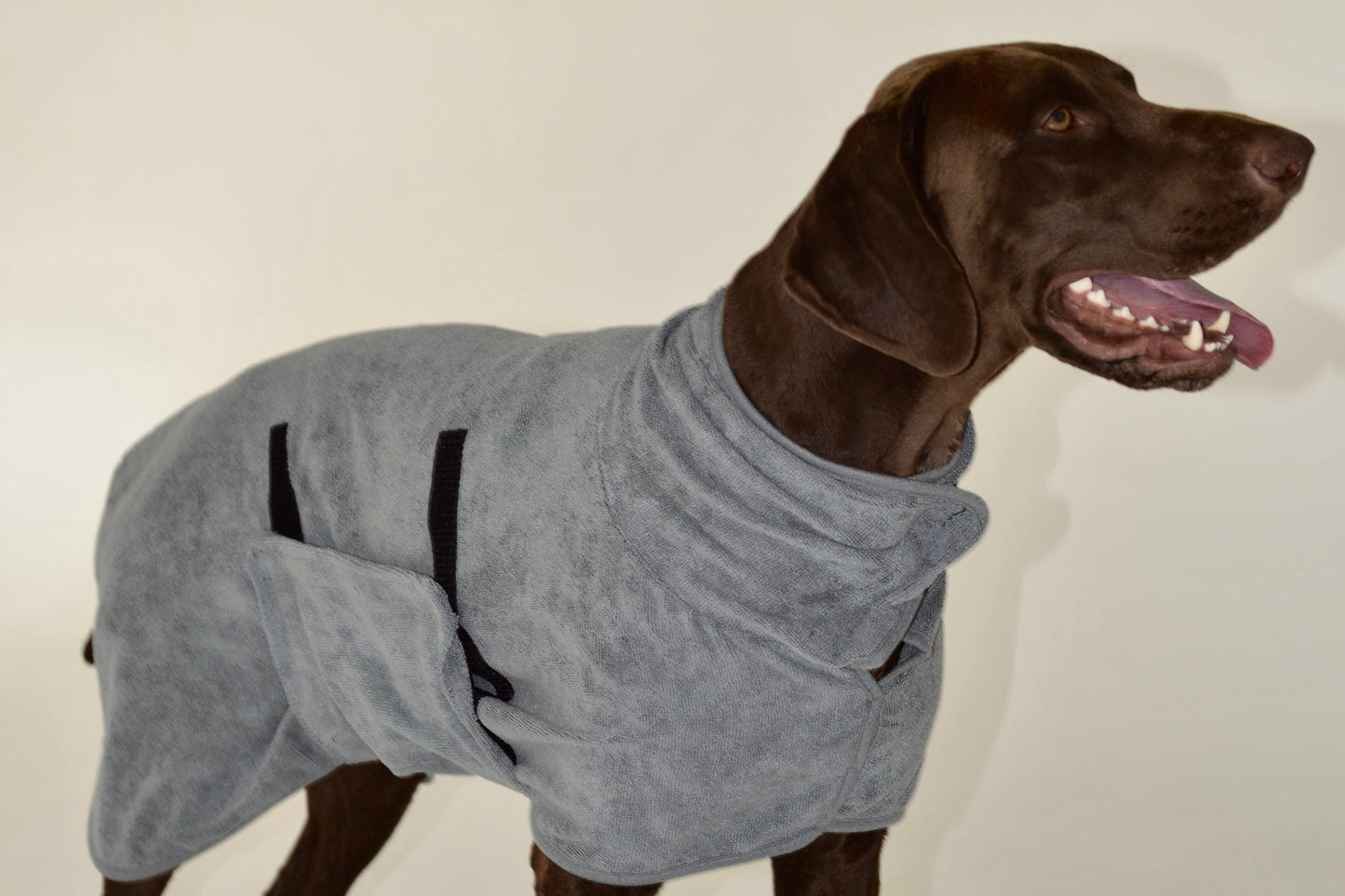 PawDry - rankšluostis