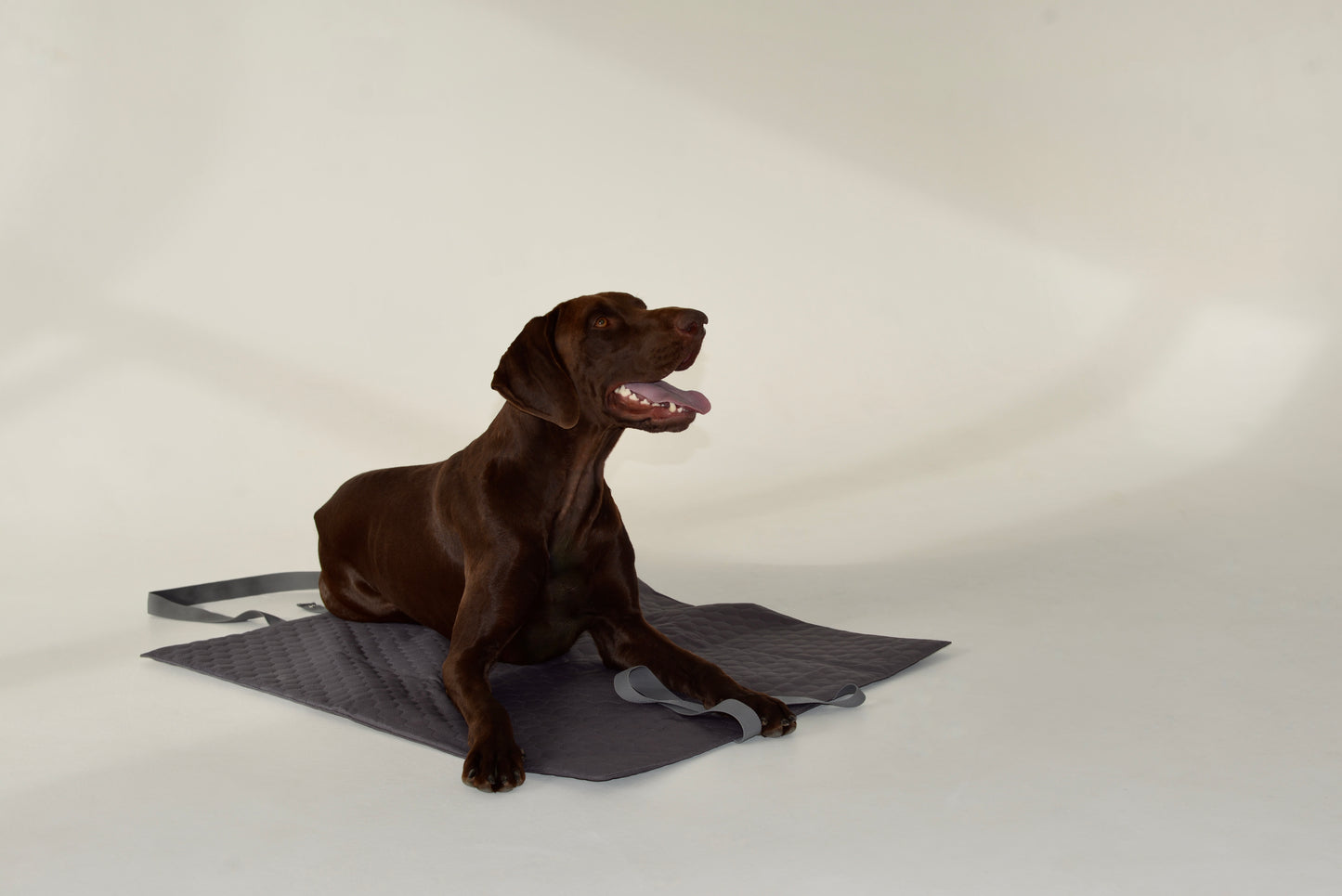 NOOA Start - rinkinys